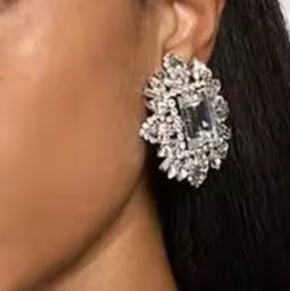 Akira Earrings Elegant Silver Crystal Earrings